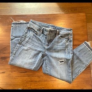 Size 10P Talbots jeans